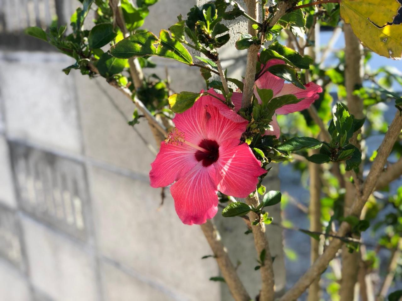 فندق Umiyakara Kin المظهر الخارجي الصورة